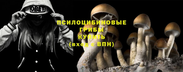 прущие грибы Володарск