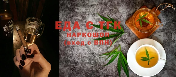 индика Верхний Тагил