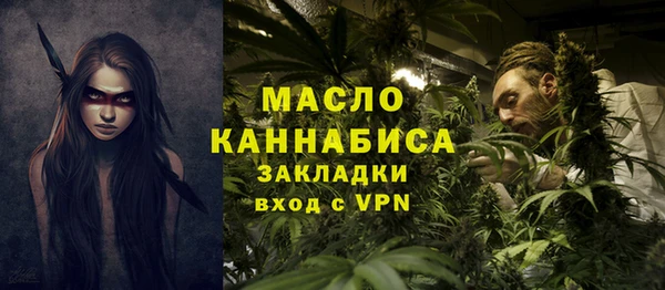 индика Верхний Тагил