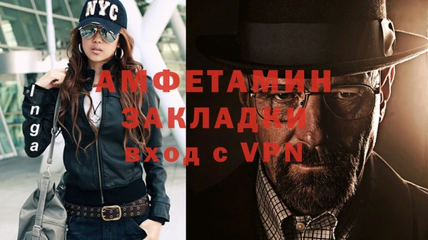 сатива Верея