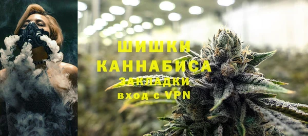 индика Верхний Тагил