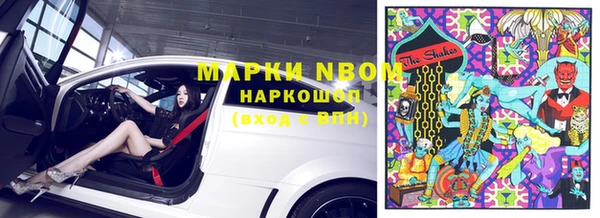 гидра Богданович
