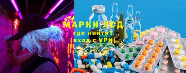 apvp Бородино