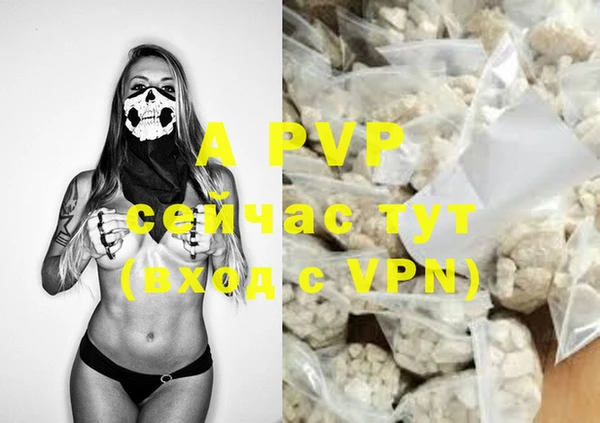 apvp Бородино