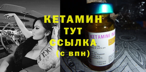молекула духа Богородицк